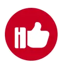 Excellent quality icon1